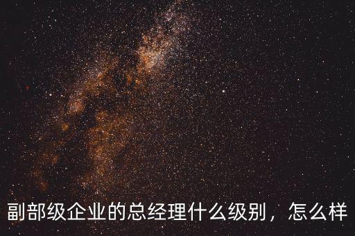 副部級企業(yè)的總經(jīng)理什么級別，怎么樣