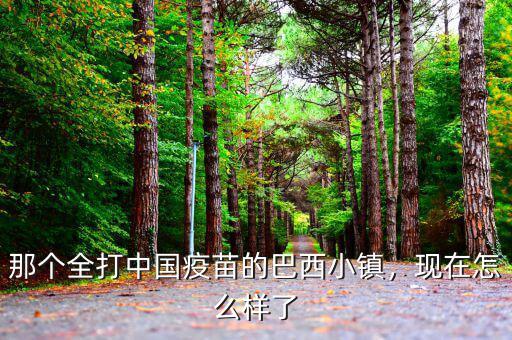 那個(gè)全打中國疫苗的巴西小鎮(zhèn)，現(xiàn)在怎么樣了