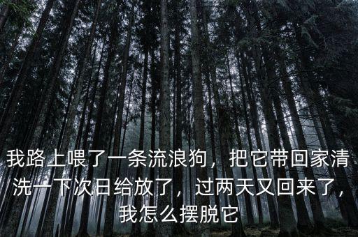 我路上喂了一條流浪狗，把它帶回家清洗一下次日給放了，過兩天又回來了，我怎么擺脫它
