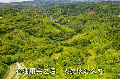石油用完之后，人類該怎么辦
