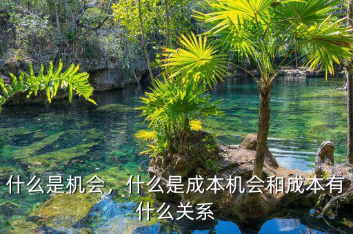 什么是機(jī)會(huì)，什么是成本機(jī)會(huì)和成本有什么關(guān)系