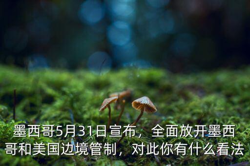 墨西哥5月31日宣布，全面放開墨西哥和美國邊境管制，對此你有什么看法