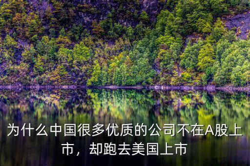 為什么中國(guó)很多優(yōu)質(zhì)的公司不在A股上市，卻跑去美國(guó)上市