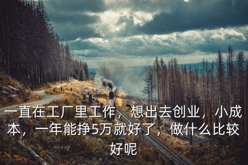 一直在工廠里工作，想出去創(chuàng)業(yè)，小成本，一年能掙5萬就好了，做什么比較好呢