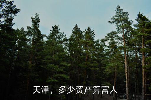 天津，多少資產算富人