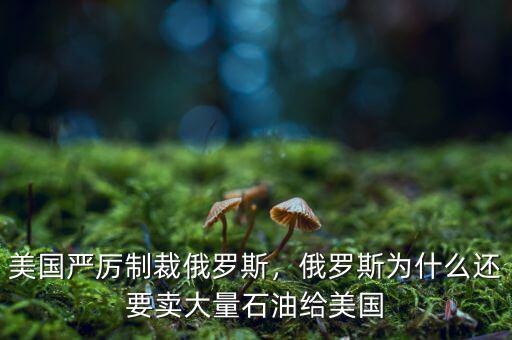 美國嚴(yán)厲制裁俄羅斯，俄羅斯為什么還要賣大量石油給美國