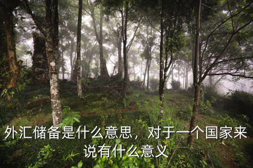 外匯儲備是什么意思，對于一個國家來說有什么意義