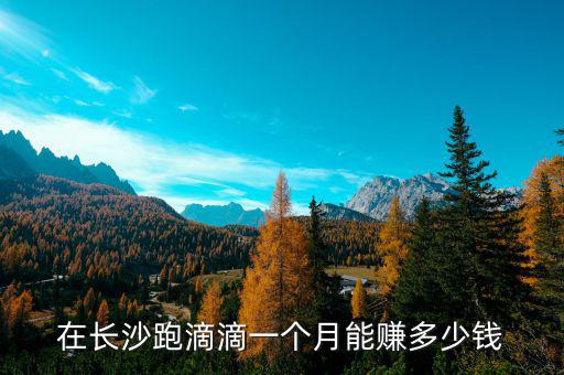 在長(zhǎng)沙跑滴滴一個(gè)月能賺多少錢(qián)