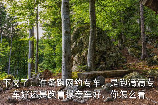 下崗了，準(zhǔn)備跑網(wǎng)約專車，是跑滴滴專車好還是跑曹操專車好，你怎么看