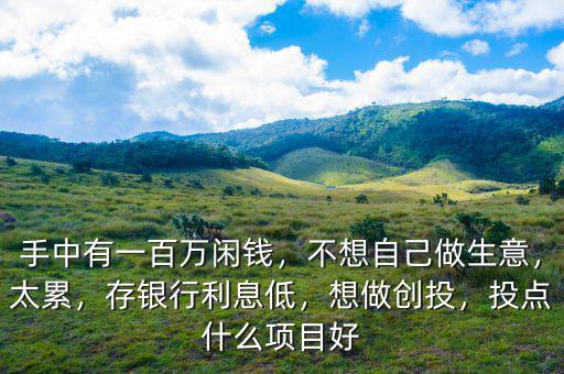 手中有一百萬閑錢，不想自己做生意，太累，存銀行利息低，想做創(chuàng)投，投點什么項目好