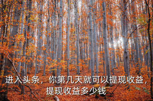 進(jìn)入頭條，你第幾天就可以提現(xiàn)收益，提現(xiàn)收益多少錢