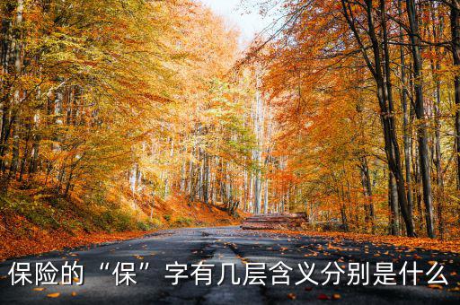 保險的“?！弊钟袔讓雍x分別是什么