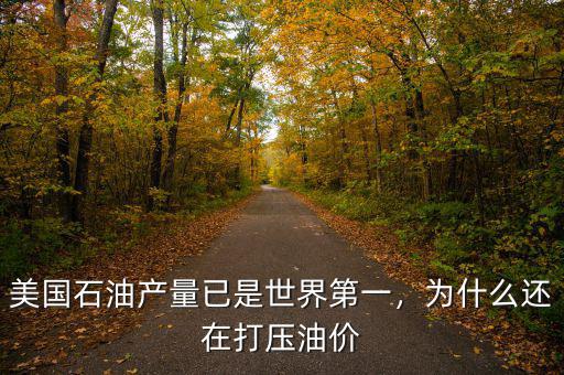 美國石油產(chǎn)量已是世界第一，為什么還在打壓油價