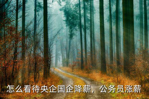 怎么看待央企國企降薪，公務(wù)員漲薪