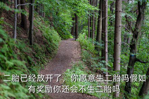 二胎已經(jīng)放開了，你愿意生二胎嗎假如有獎勵你還會不生二胎嗎