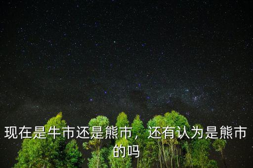 現在是牛市還是熊市，還有認為是熊市的嗎