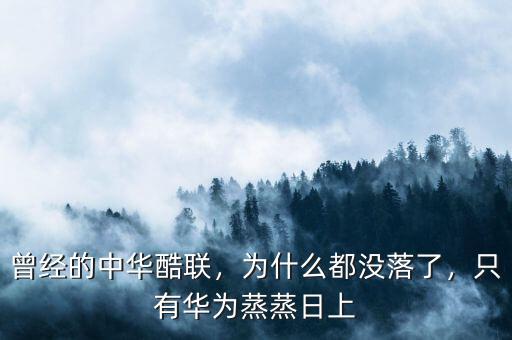 曾經(jīng)的中華酷聯(lián)，為什么都沒落了，只有華為蒸蒸日上