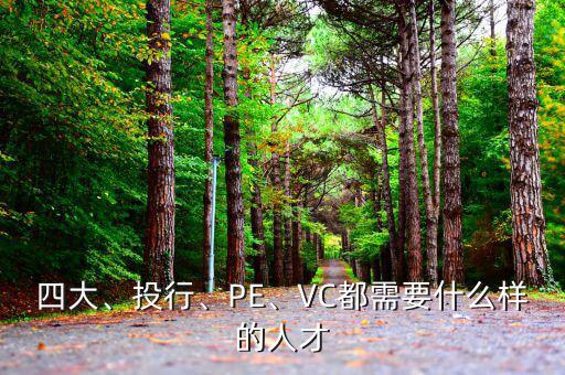 四大、投行、PE、VC都需要什么樣的人才