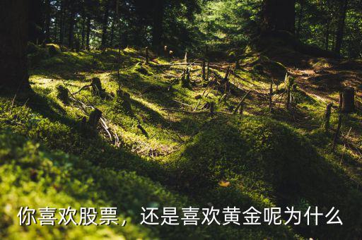 你喜歡股票，還是喜歡黃金呢為什么