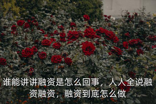 誰能講講融資是怎么回事，人人全說融資融資，融資到底怎么做
