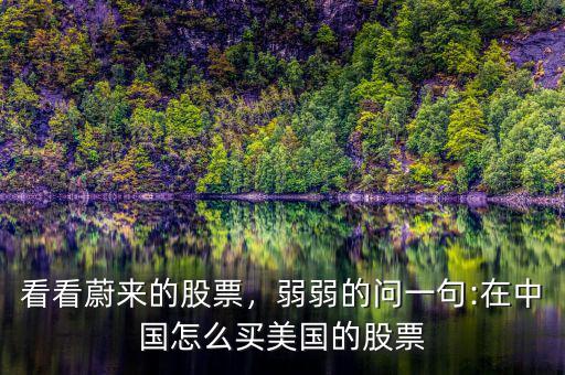 看看蔚來的股票，弱弱的問一句:在中國怎么買美國的股票