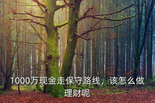 1000萬現(xiàn)金走保守路線，該怎么做理財呢