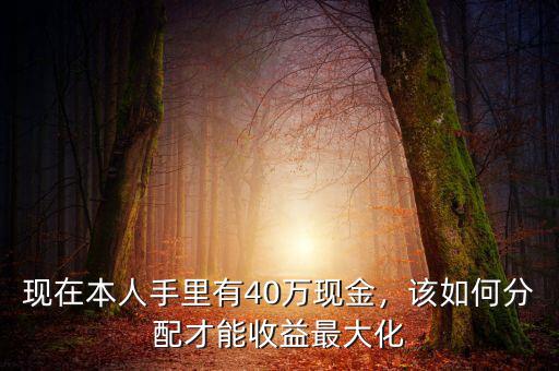現(xiàn)在本人手里有40萬現(xiàn)金，該如何分配才能收益最大化