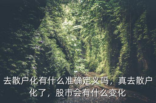 去散戶化有什么準確定義嗎，真去散戶化了，股市會有什么變化