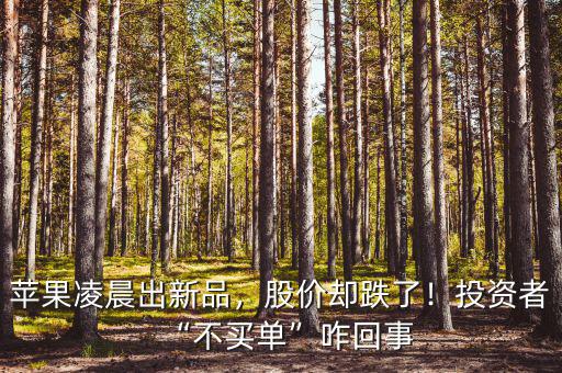 蘋果凌晨出新品，股價卻跌了！投資者“不買單”咋回事