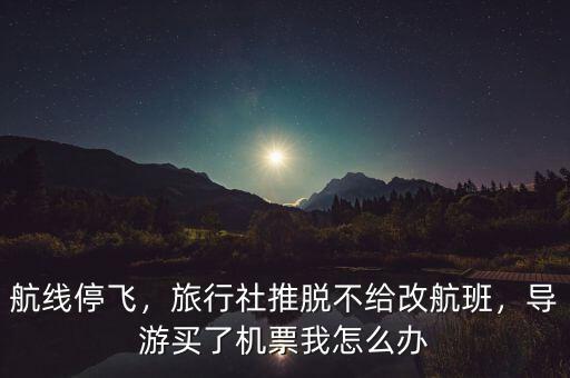 航線停飛，旅行社推脫不給改航班，導游買了機票我怎么辦