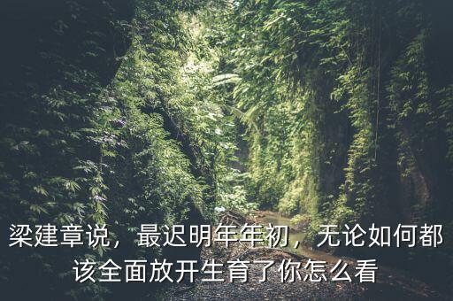 梁建章說(shuō)，最遲明年年初，無(wú)論如何都該全面放開(kāi)生育了你怎么看