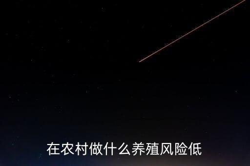 蘇北養(yǎng)殖什么風(fēng)險低回報(bào)大,現(xiàn)在農(nóng)村養(yǎng)殖什么風(fēng)險低