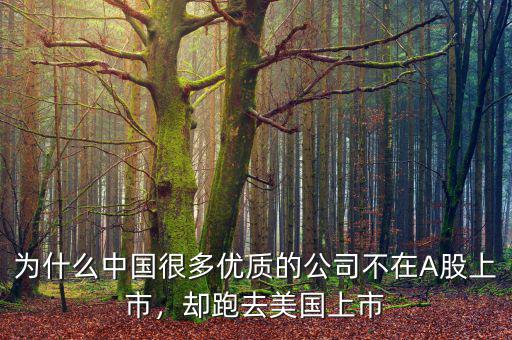 為什么中國(guó)很多優(yōu)質(zhì)的公司不在A股上市，卻跑去美國(guó)上市