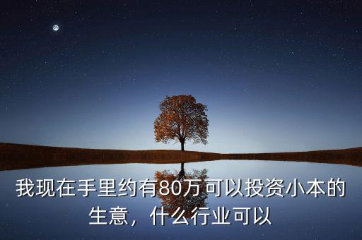 我現(xiàn)在手里約有80萬可以投資小本的生意，什么行業(yè)可以