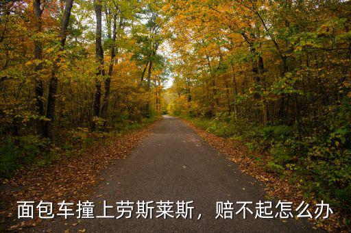 面包車撞上勞斯萊斯，賠不起怎么辦