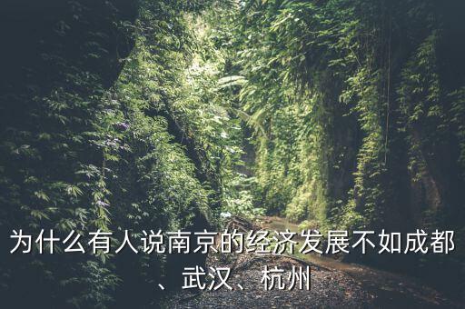 為什么有人說南京的經(jīng)濟發(fā)展不如成都、武漢、杭州
