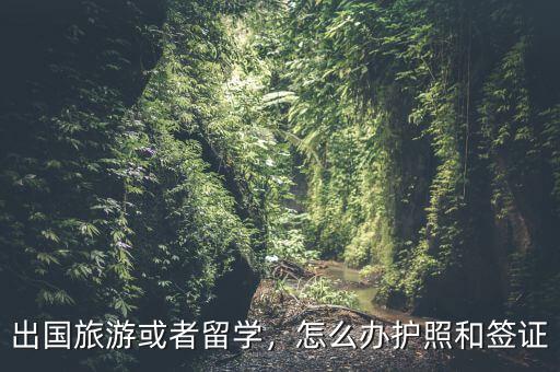 出國(guó)旅游或者留學(xué)，怎么辦護(hù)照和簽證