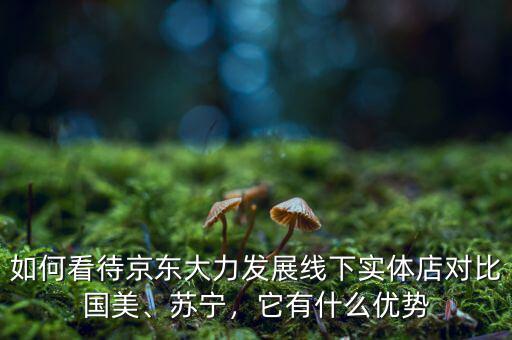 如何看待京東大力發(fā)展線下實(shí)體店對(duì)比國美、蘇寧，它有什么優(yōu)勢