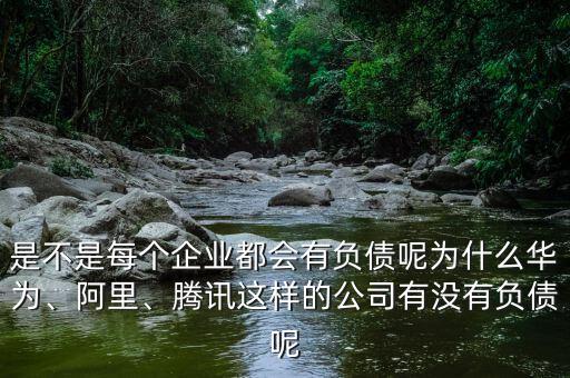 是不是每個(gè)企業(yè)都會(huì)有負(fù)債呢為什么華為、阿里、騰訊這樣的公司有沒有負(fù)債呢