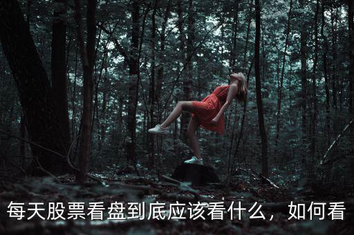 每天股票看盤(pán)到底應(yīng)該看什么，如何看