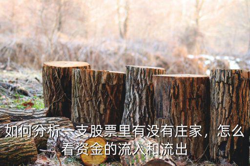 如何分析一支股票里有沒有莊家，怎么看資金的流入和流出