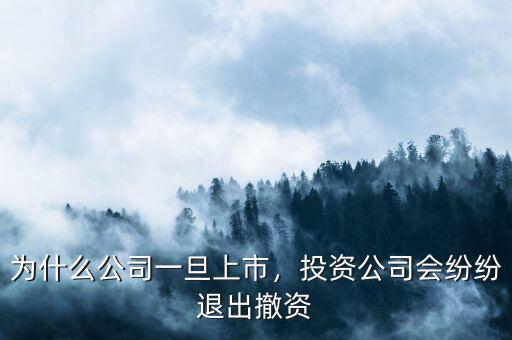 為什么公司一旦上市，投資公司會紛紛退出撤資