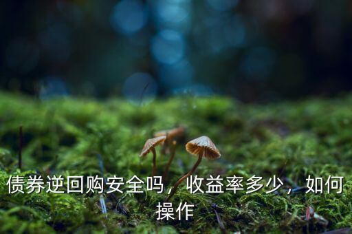 債券逆回購安全嗎，收益率多少，如何操作