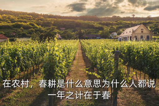 在農(nóng)村，春耕是什么意思為什么人都說(shuō)一年之計(jì)在于春