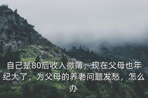 自己是80后收入微薄，現(xiàn)在父母也年紀(jì)大了，為父母的養(yǎng)老問題發(fā)愁，怎么辦