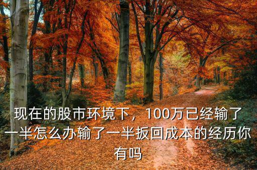 現(xiàn)在的股市環(huán)境下，100萬已經輸了一半怎么辦輸了一半扳回成本的經歷你有嗎
