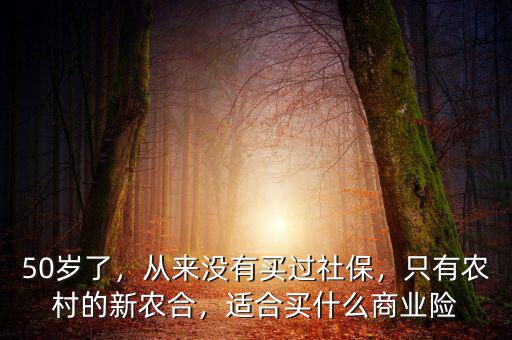 50歲了，從來(lái)沒(méi)有買(mǎi)過(guò)社保，只有農(nóng)村的新農(nóng)合，適合買(mǎi)什么商業(yè)險(xiǎn)