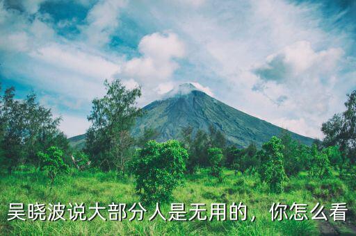 吳曉波說大部分人是無用的，你怎么看