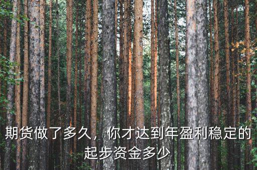 期貨做了多久，你才達(dá)到年盈利穩(wěn)定的起步資金多少