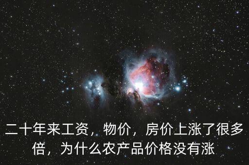 二十年來工資，物價，房價上漲了很多倍，為什么農(nóng)產(chǎn)品價格沒有漲